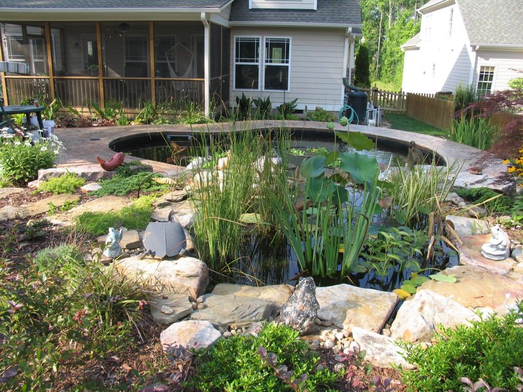 Down to Earth Landscape Designs - Landscape Design Firm in Raleigh ...